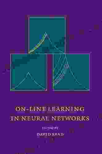 On Line Learning In Neural Networks (Publications Of The Newton Institute 17)