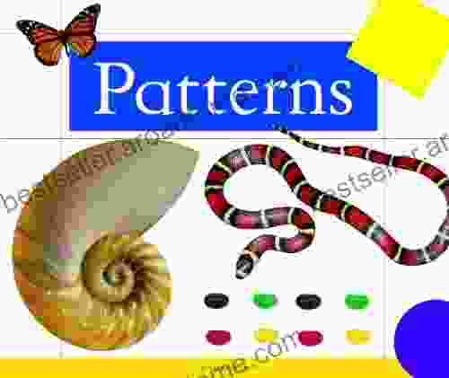 Patterns (Simply Math) Art Fuller